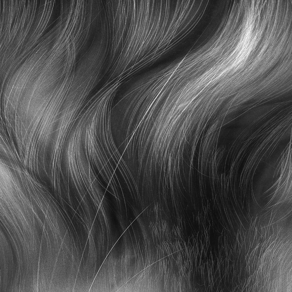 Ampersand Scratchbord Fiber Brush - Image 3