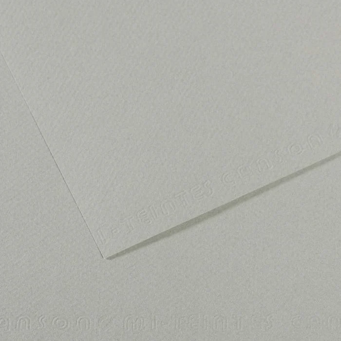 Canson Mi-Teintes Pastel Drawing Paper Sheets 160gsm 50 x 65 cm Pack of 10 - Image 13