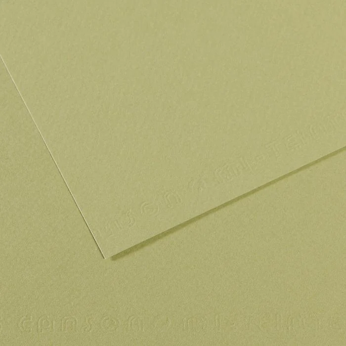 Canson Mi-Teintes Pastel Drawing Paper Sheets 160gsm 50 x 65 cm Pack of 10 - Image 19