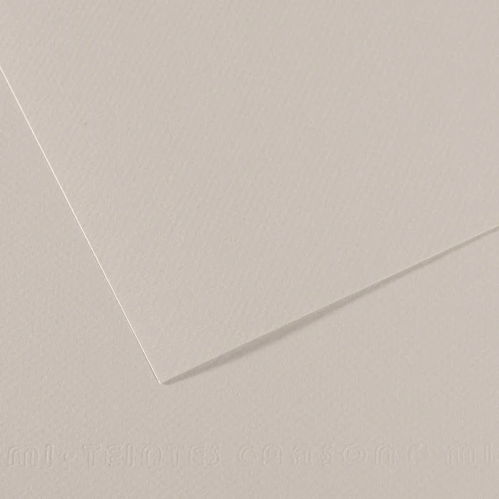 Canson Mi-Teintes Pastel Drawing Paper Sheets 160gsm 50 x 65 cm Pack of 10 - Image 25