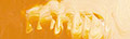 Matisse Flow - 10L - Image 84