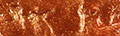 Matisse Flow - 10L - Image 92