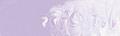 Matisse Structure - 250ml - Image 44